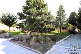 Prostorný byt 1+1 ( 30m² ) po rekonstrukci k pronájmu, Brno- - 11