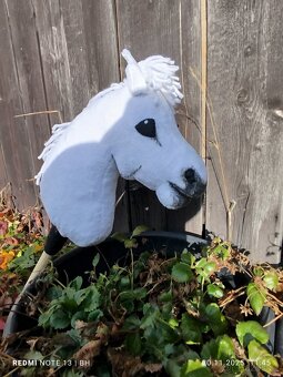 Hobby horse - 11