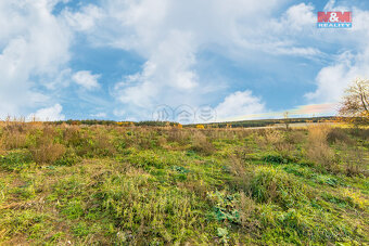 Prodej louky, 672 m², Vysoká Libyně - 11