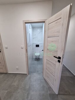 Pronajmu bytovou jednotku 2+1 po celkové a velmi vkusné reko - 11