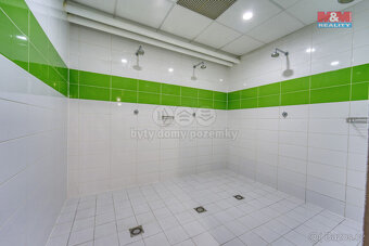 Pronájem výrobního objektu, 845 m², Plzeň, ul. Gerská - 11