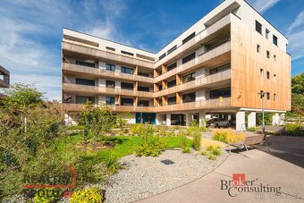 Pronájem, byty/1+kk, 29 m2, Kartónová 2844/10, Východní Před - 11