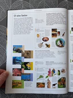 Nová kniha Svět zvířat - encyklopedie - 11