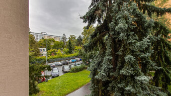 Pronájem bytu 2+kk, 43 m2, ulice Hrubého, Praha 8 - Kobylisy - 11