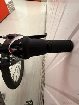 Dětské kolo Rascal 24, Titanium - 11