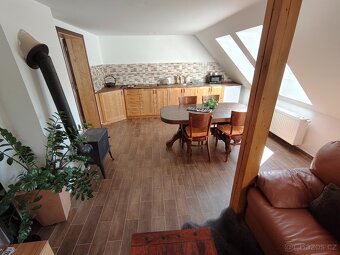 Apartmány s bazénem Jižní Čechy, klidná poloha u lesa. - 11