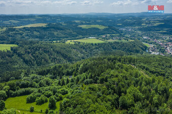 Prodej lesa, 6085 m², Tanvald - 11