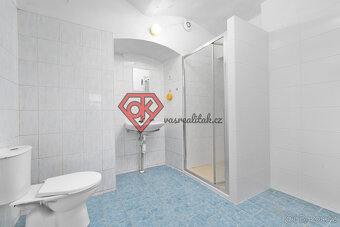 PRODEJ  - penzion Hanka v Orličkách - 11