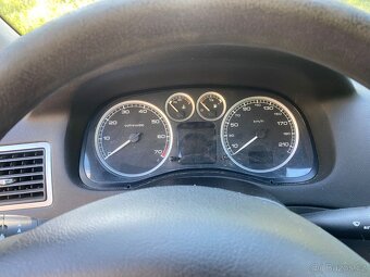 Peugeot 307 s LPG - 11