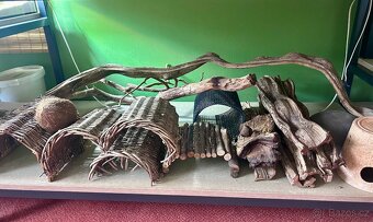 Terarium - 11