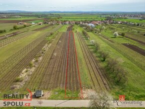 Prodej, pozemky/vinice/sady, 1280 m2, Prušánky, Hodonín [ID  - 11