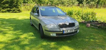 Skoda 1.9tdi 77kw - 11