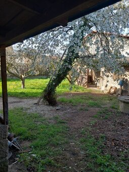 Prodáme rod.dům - 11