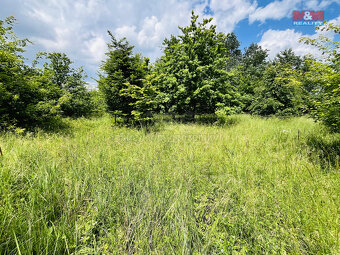 Prodej pozemku, 1026 m², Veselí nad Moravou - 11