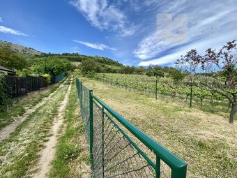 Prodej, Pozemky, Vinný sklep, Ubytování, 528 m2 - Mikulov - 11