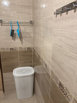 Pronájem bytu 1+KK - 11