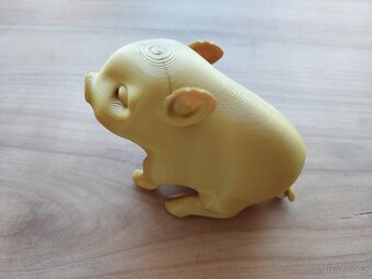 Když to vydržíš do večera nepapat, tak uvidíš zlaté prasátko - 11