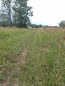 Pozemek u jezera Pístník, přes 1,8 ha, blízko dálnice D8... - 11
