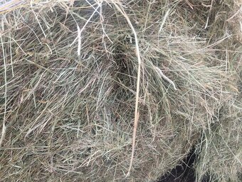 Seno kulaté balíky ze Šumavy - 11