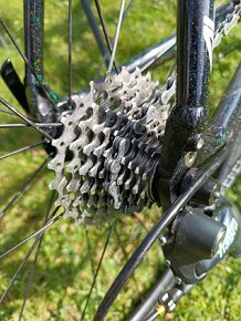 Silnička Specialized Allez, Petr Sagan Edition, vel. 56 - 11