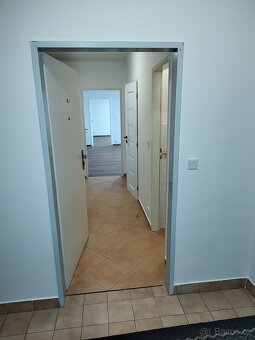 Pronájem bytu 3KK 96 m2 s vlastní zahradou  - bez RK - 11