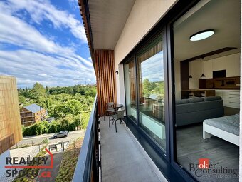Pronájem, byty/1+kk, 43 m2, Kartónová 2843/2, 32600 Plzeň, P - 11