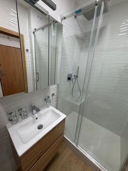 Byt 2+1, ul. Fr. Halase - 11