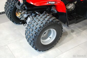 Polaris Phoenix 200 - 11