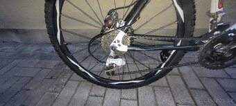 Dospele kolo Pell's - 11