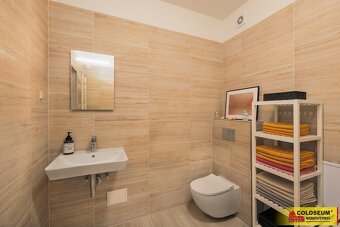 Šanov u Znojma, RD 4+kk, novostavba, zahrada, 3 parkovací mí - 11