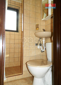 Prodej chaty, 46 m², Dubovice - 11