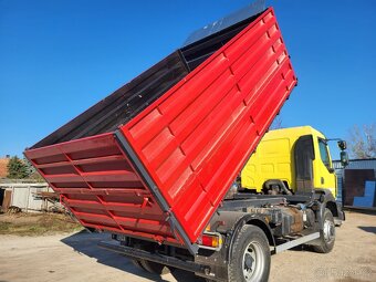 RENAULT MIDLUM 300 DXI 3S 4X4 - 11