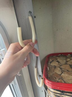 Rezervováno  Přepravník na koně - 11