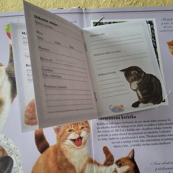 KOČKY pro děti - 11
