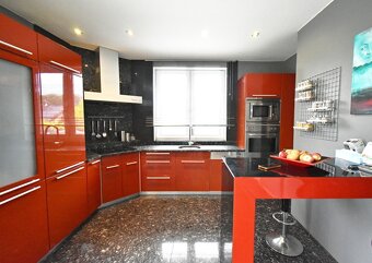 Prodej luxusního domu 6+1, garáž, Hoštice u Vodochod - 11