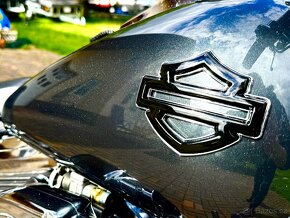 Harley Davidson Softail Springer EVO - 11