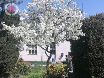 Prodej vily se třemi bytovými jednotkami ve Veselí nad Morav - 11