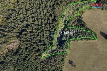 Prodej lesa, 8743 m², Valašská Senice - 11