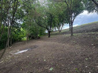 Stavební pozemek 1 528 m² u potoka – v chatařské osadě - 11