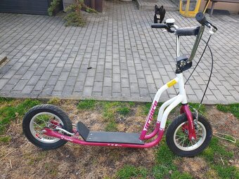 Koloběžka Arcore TWELVEMAX - 11