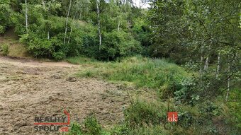 Prodej, pozemky/bydlení, 1340 m2, K Doubravě 255, 33151 Kazn - 11