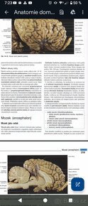 VŠ Skripta v PDF formátu - ČZU, Veterina, Ekonomie - 11