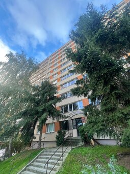 Ihned volné Zrekonstruované 1kk/L, 42m2, v Krči, Murgašova - 11