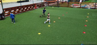 UMĚLÝ TRÁVNÍK TRÁVA KRYTINA PODLAHA PRODEJ ROLE - 11