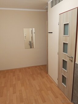 Teplice, Krajní ul. 2+kk , dr. 39m2 - 11