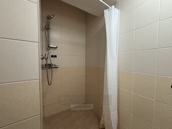 Pronájem bytu 1+1 41m², České Budějovice - 11