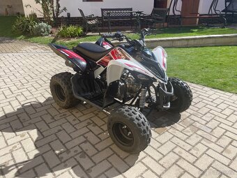 Yamaha YFM 90 / raptor čtyřkolka - 11