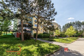 Prodej, byty/4+1, 90 m2, Kubíkova, Líšeň, 62800 Brno-Líšeň [ - 11