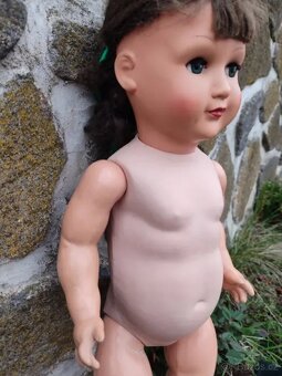 Panenka želva velká - 11