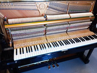 Hyundai mod.120-Dovoz i na Štědrý den 24.12. - 11